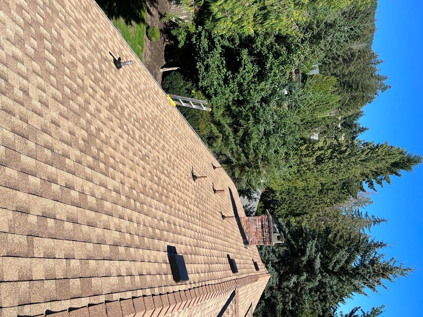 New Construction, Langley, photo 4