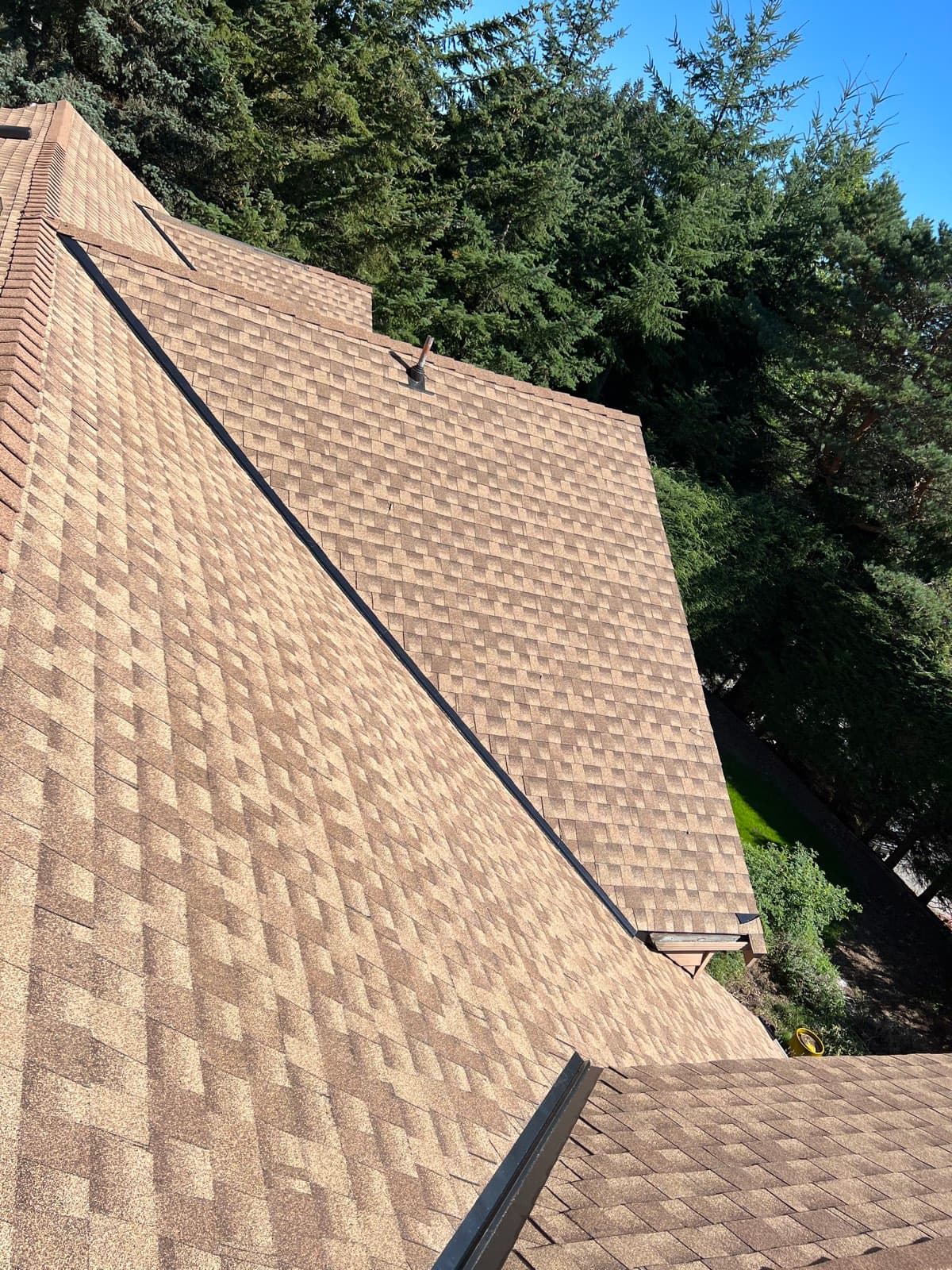 New Construction, Langley, photo 5